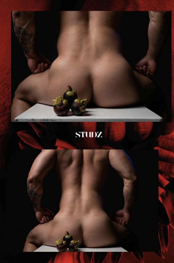STUDZ-01--Zesty--Ebook--Video-